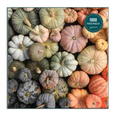 1000 piece puzzle : Heirloom Pumpkins