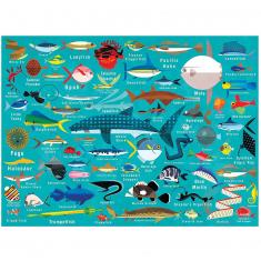 Puzzle 1000 pièces : Vie marine