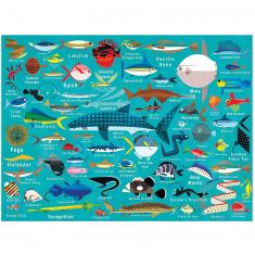 Puzzle de 1000 piezas : vida oceánica