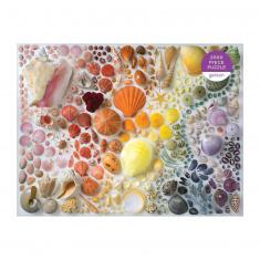 2000 pieces puzzle : Rainbow Seashells