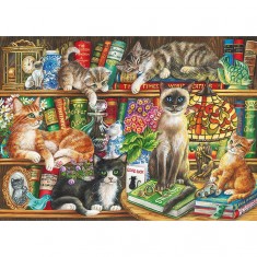 Puzzle 1000 pièces : Chats dans la bibliothèque