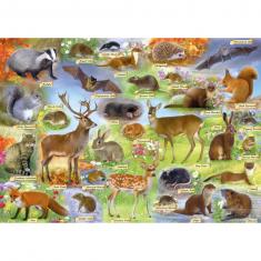 Puzzle mit 500 Teilen: Britische Tierwelt
