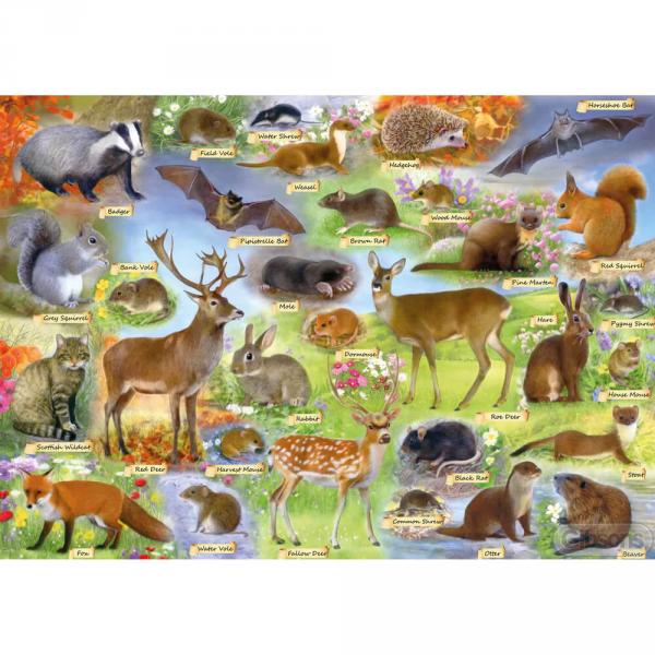 Puzzle mit 500 Teilen: Britische Tierwelt - Gibsons-G3142