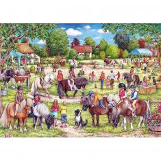 250 piece puzzle XL : Shetland Pony Club