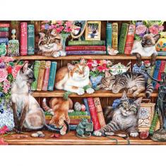 1000 piece puzzle :  Puss Back in Books  