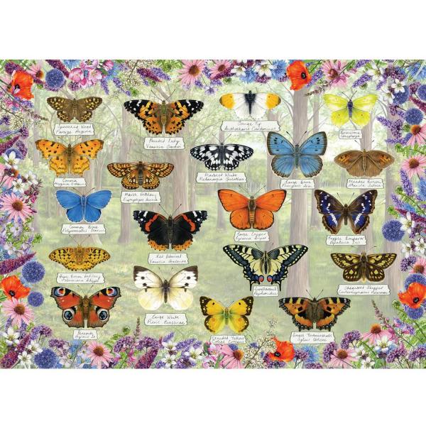 Puzzle 1000 pièces : Beaux papillons - Gibsons-G6366