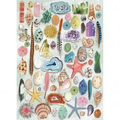 Puzzle 1000 pièces : The Art File : Curiosités naturelles