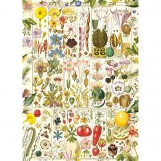 Puzzle 1000 pieces : Botanical Bliss   