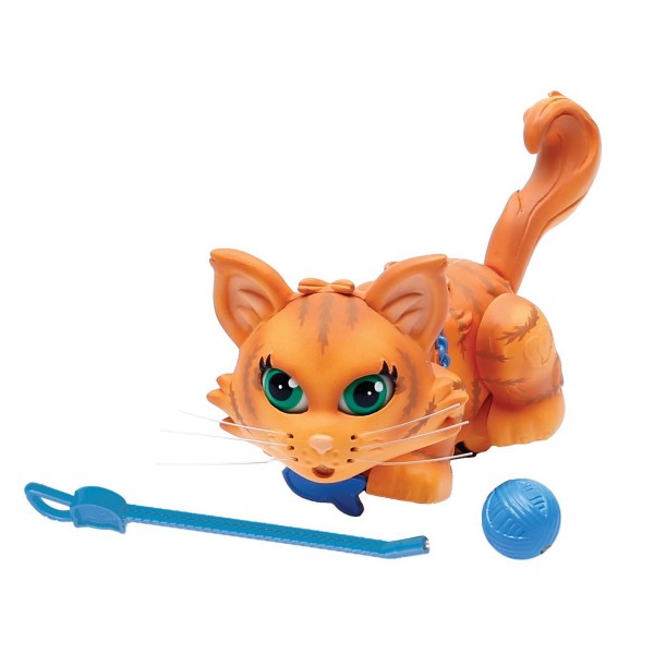 Figurine Pet Parade : Chat roux tigré - Giochi-PTC00-5
