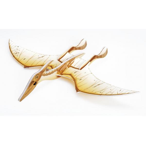 Pteranodon squelette volant - 13350.03
