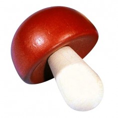 Grocery Haba Mushroom (1 piece)