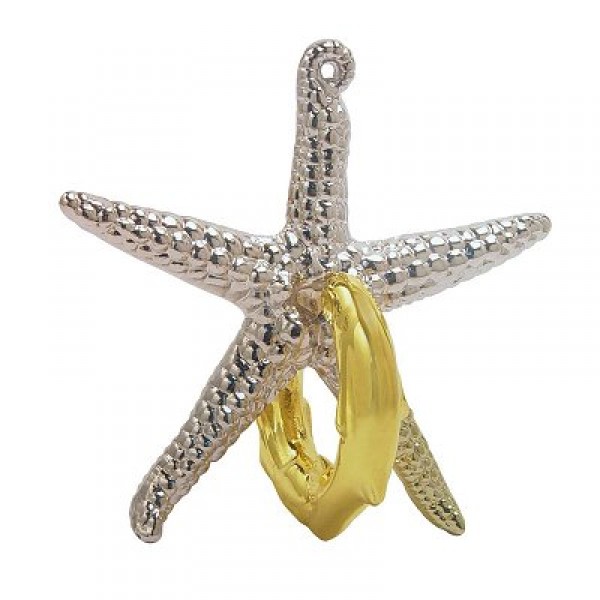 Casse-tête en métal Starfish - Hanayama-J01232