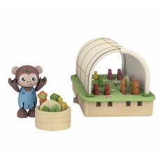 Marco's organic greenhouse