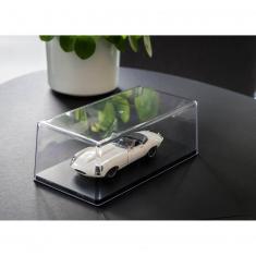 Acrylic Showcase 252 x 127 x 80 mm