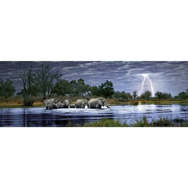 2000 pieces panoramic puzzle Alexander Humboldt Edition Alex Bernasconi: Herd of elephants - Heye-29508-58198