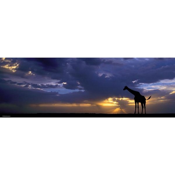 Puzzle 1000 pièces panoramique - Alexander von Humboldt : Sunset - Heye-29471-58193