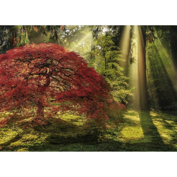 1000 pieces puzzle: Guiding light - Heye-29855