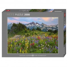 Puzzle 2000 Pièces : Tatoosh Mountains