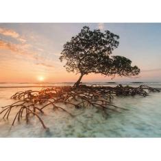 1000 pieces puzzle: red mangrove