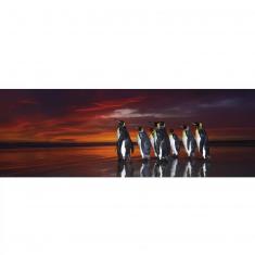 1000 Teile Panorama-Puzzle - Alexander von Humboldt: Pinguine