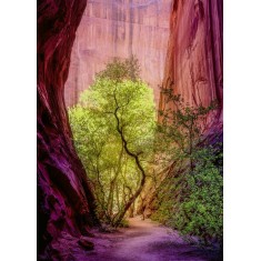 1000 pieces puzzle: Singing Canyon