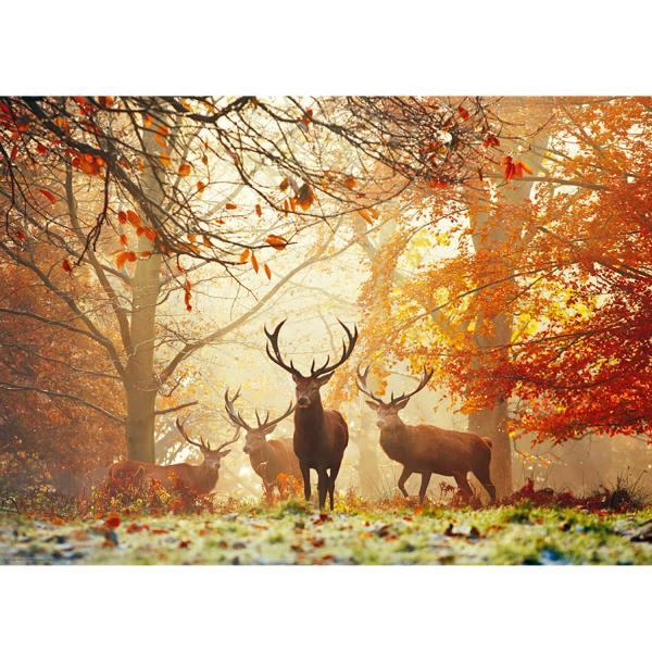 1000 pieces puzzle: Magic forest - Heye-29805