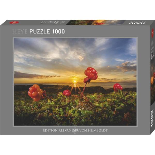 1000 piece puzzle : Cloudbeeries - Heye-58174
