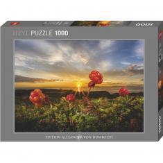 Puzzle mit 1000 Teilen: Cloudbeeries