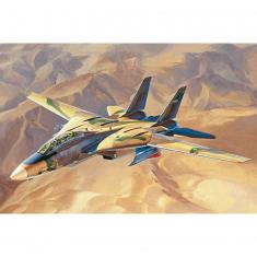 Persian Cat F-14A TomCat-IRIAF - 1:48e - Hobby Boss