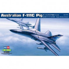 Aircraft model: Australian F-111C Pig