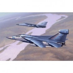 Maqueta de avión: EF-111 Raven