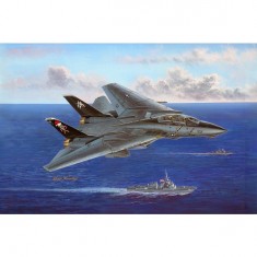 Aircraft model: F-14B Tomcat