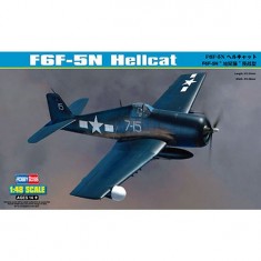 Aircraft model: F6F-5N Hellcat