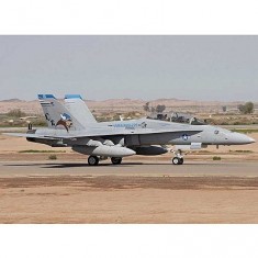 Maqueta de avión: F / A-18D Hornet