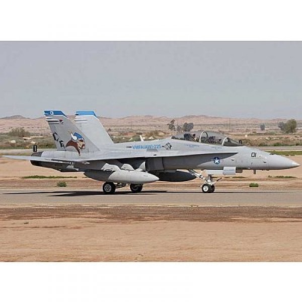 Maqueta de avión: F / A-18D Hornet - Hobbyboss-80322