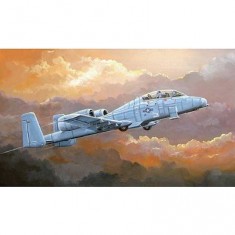 Aircraft model: N / WA A-10 Thunderbolt II