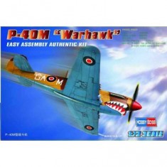 Maquette avion : P-40 M Warhawk