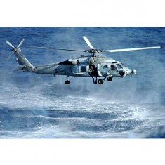 Model helicopter: SH-60B Seahawk