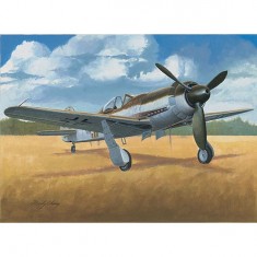 Maquette avion : Ta 152 C-1