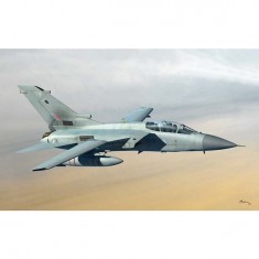 Aircraft model: Tornado ADV
