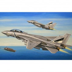 F-14D Super Tomcat - 1:72e - Hobby Boss