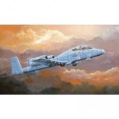 N/AW A-10A  THUNDERBOLT II - 1:72e - Hobby Boss