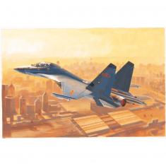 Flugzeugmodell: PLA J-16