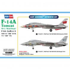 Maquette avion : avion de chasse Grumman F-14 Tomcat