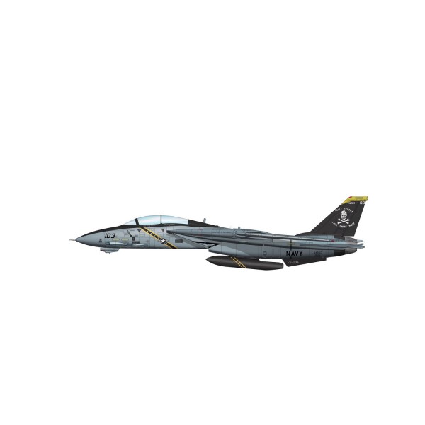 Modèle Réduit Avion : Grumman F-14B Tomcat CO Aircraft (AA103) - hobbymaster-HMHA5204
