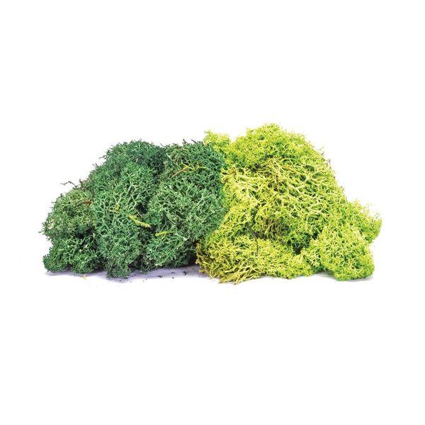 Skale Scenics Lichen - Large Green Mix - Humbrol - R7195