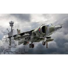 Maquette Avions Militaire : Harrier GR.3 Guerre Malouines