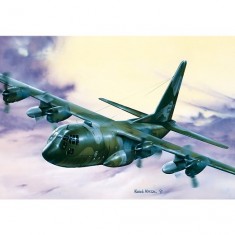 Aircraft model: C-130 E / H Hercules