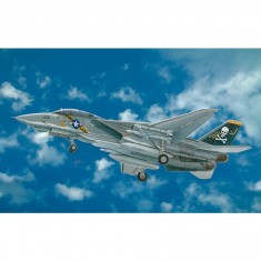 Maquette avion : F-14A Tomcat