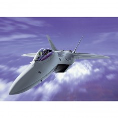 Aircraft model: F-22 Raptor